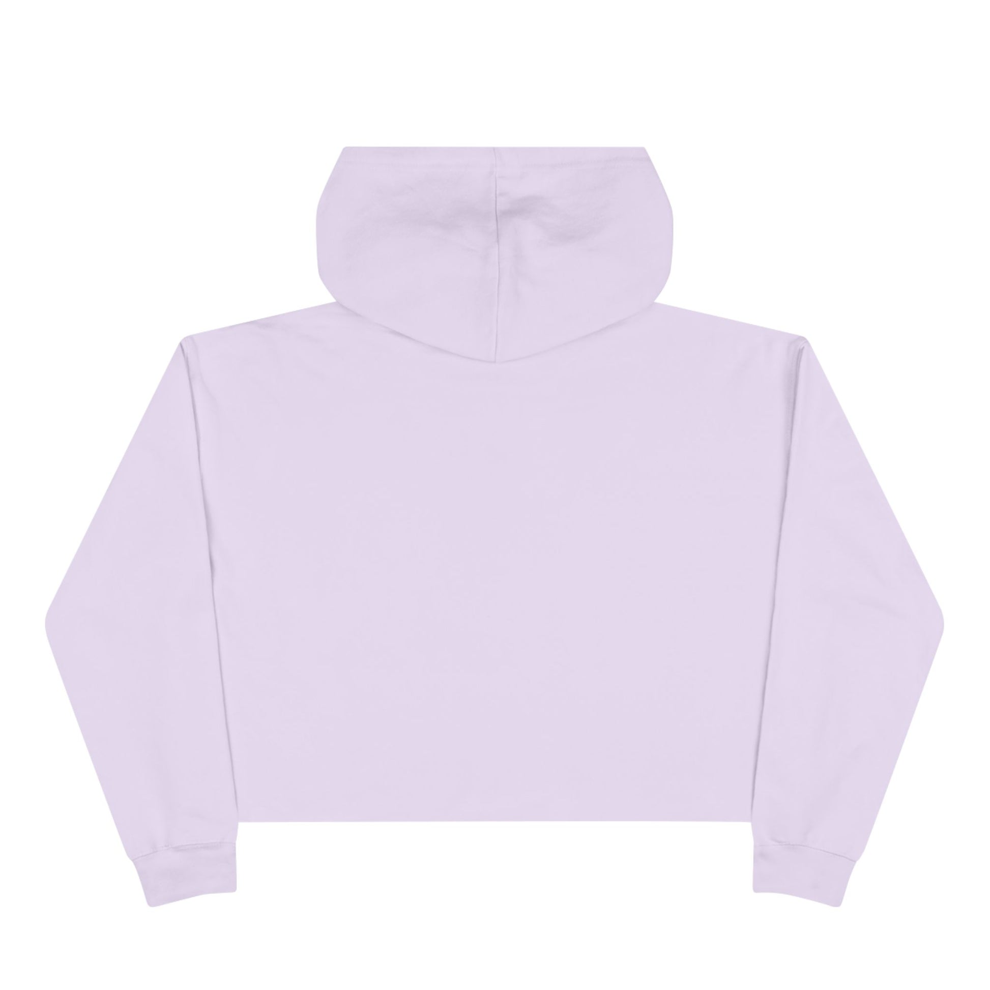 Edgy Chique Crop Hoodie